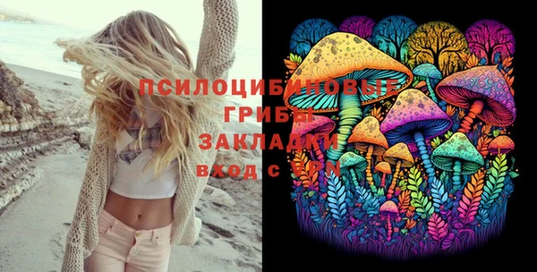 Альфа ПВП Арсеньев