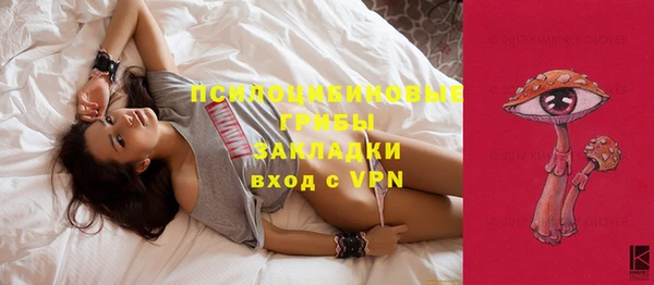трава Армянск
