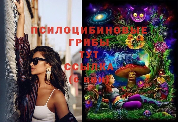 Альфа ПВП Арсеньев